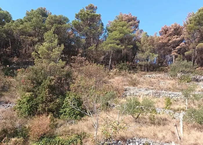 דירה Marijan Martinovic *